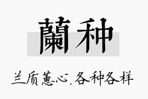 兰种名字的寓意及含义