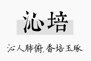 沁培名字的寓意及含义