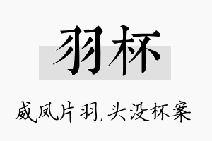 羽杯名字的寓意及含义