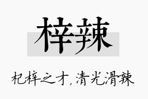 梓辣名字的寓意及含义