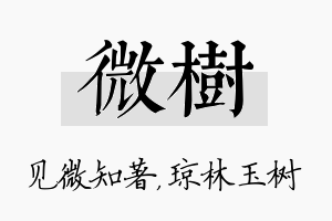 微树名字的寓意及含义