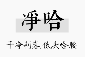 净哈名字的寓意及含义