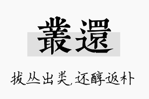 丛还名字的寓意及含义