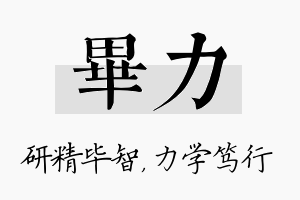 毕力名字的寓意及含义