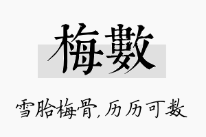 梅数名字的寓意及含义