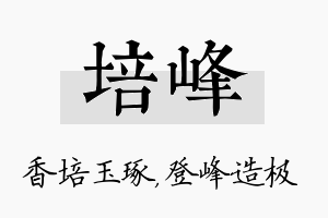 培峰名字的寓意及含义