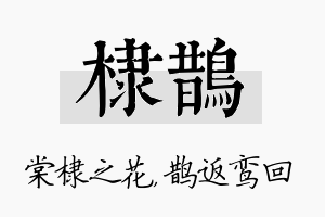 棣鹊名字的寓意及含义