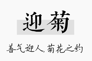 迎菊名字的寓意及含义