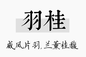 羽桂名字的寓意及含义