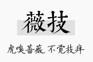 薇技名字的寓意及含义