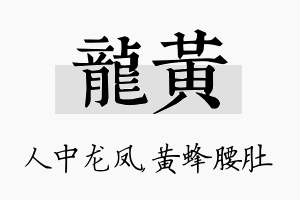 龙黄名字的寓意及含义