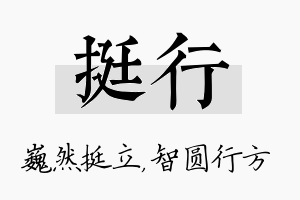 挺行名字的寓意及含义