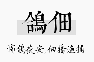 鸽佃名字的寓意及含义