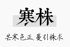 寒株名字的寓意及含义