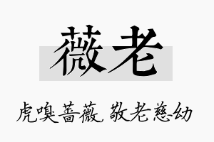 薇老名字的寓意及含义