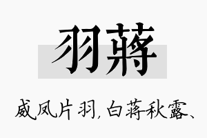 羽蒋名字的寓意及含义