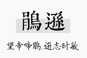 鹃逊名字的寓意及含义