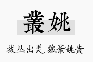 丛姚名字的寓意及含义