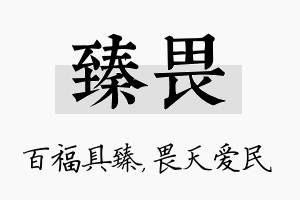 臻畏名字的寓意及含义