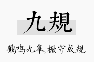 九规名字的寓意及含义