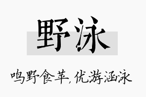 野泳名字的寓意及含义