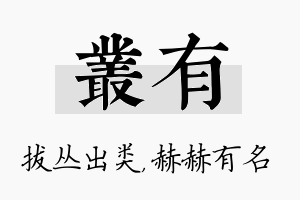 丛有名字的寓意及含义