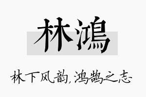 林鸿名字的寓意及含义