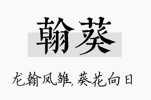 翰葵名字的寓意及含义