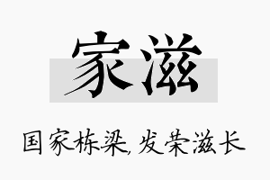 家滋名字的寓意及含义