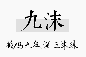 九沫名字的寓意及含义