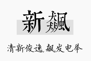 新飙名字的寓意及含义