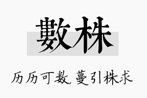 数株名字的寓意及含义