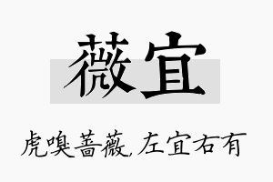 薇宜名字的寓意及含义