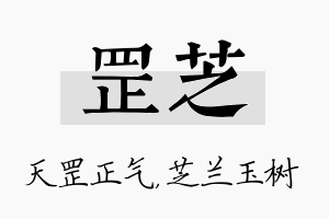 罡芝名字的寓意及含义