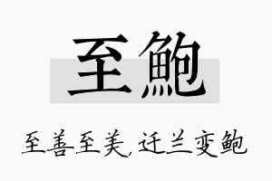 至鲍名字的寓意及含义