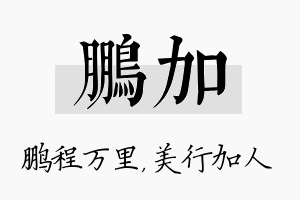 鹏加名字的寓意及含义