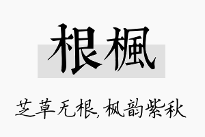 根枫名字的寓意及含义