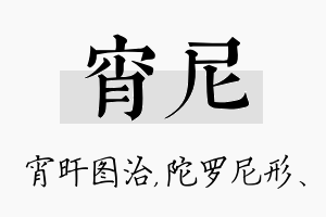 宵尼名字的寓意及含义