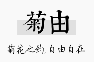 菊由名字的寓意及含义