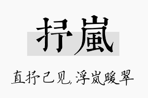 抒岚名字的寓意及含义