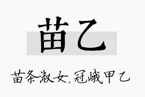 苗乙名字的寓意及含义