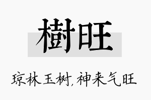 树旺名字的寓意及含义