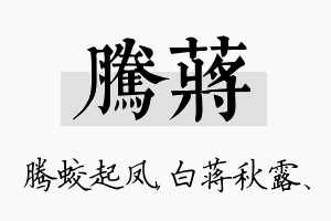 腾蒋名字的寓意及含义