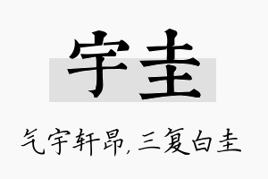 宇圭名字的寓意及含义