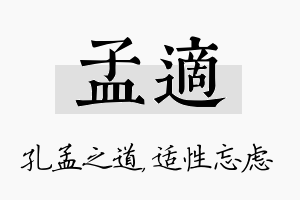 孟适名字的寓意及含义