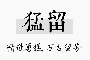 猛留名字的寓意及含义