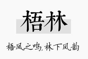 梧林名字的寓意及含义