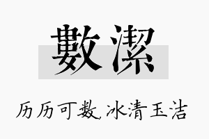 数洁名字的寓意及含义