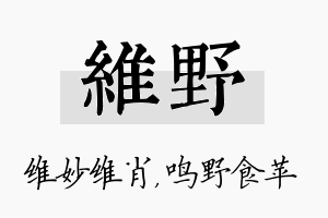 维野名字的寓意及含义