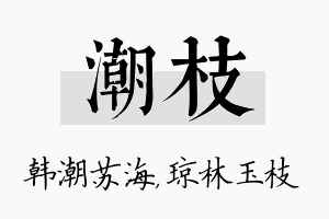 潮枝名字的寓意及含义